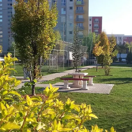 Beautiful Days Брашов