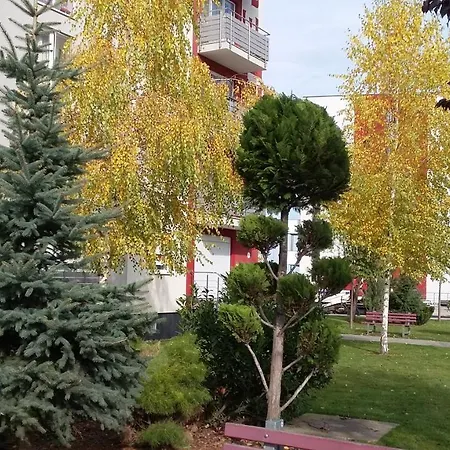 Beautiful Days Брашов