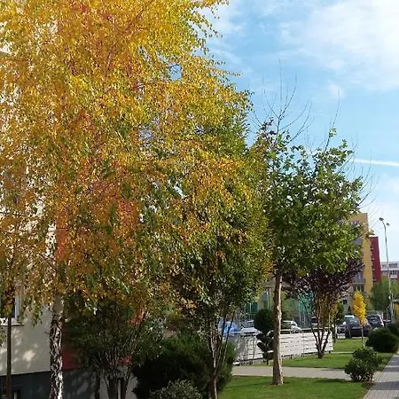 Beautiful Days *